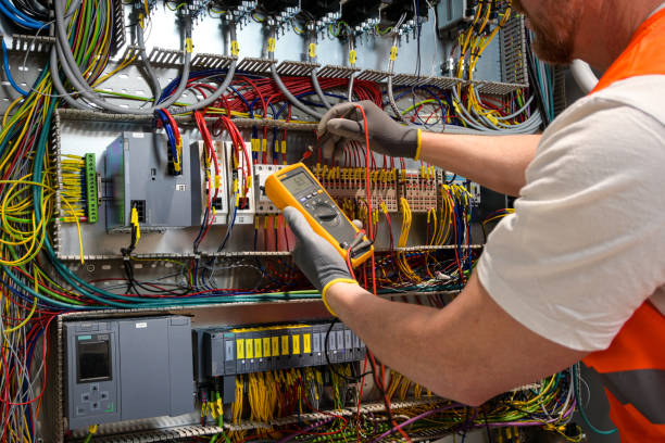 Best Electric Panel Repair  in Walce Ridge, LA
